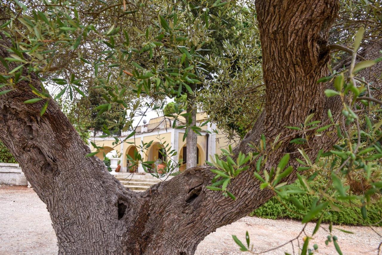 Villa Luciana Martina Franca Exterior photo